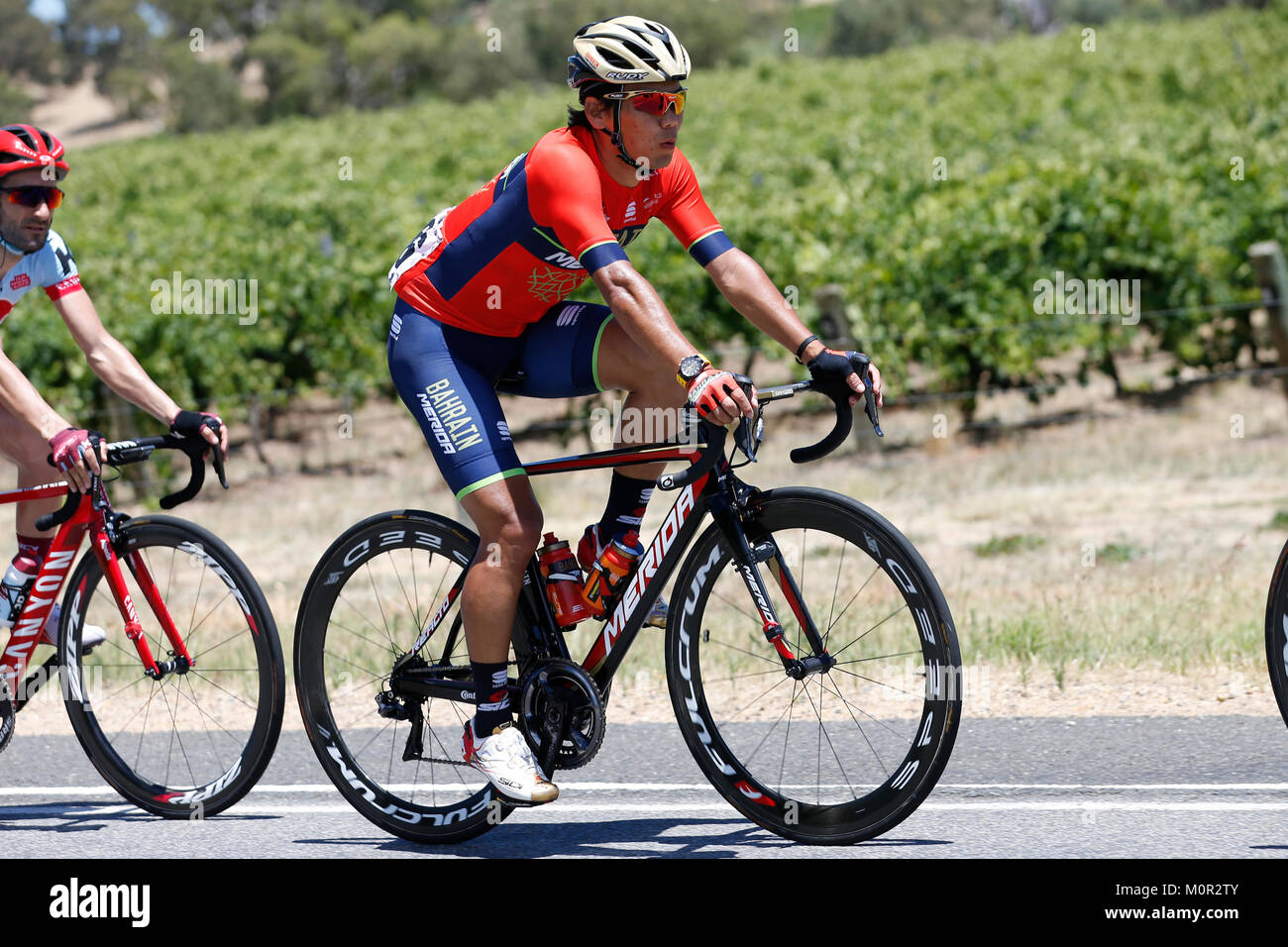 bahrain merida riders