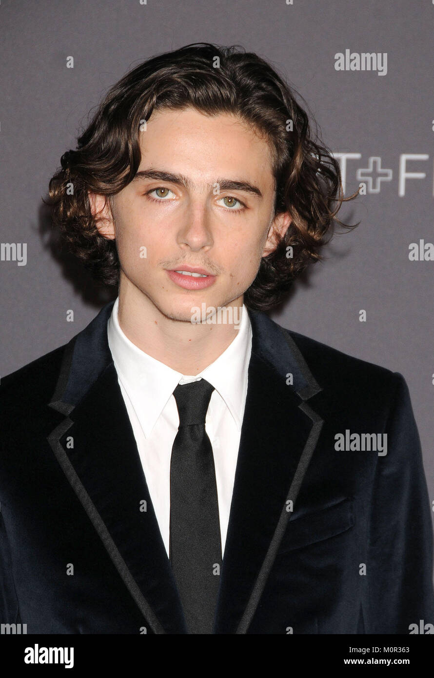 Oscar nominee Timothee Chalamet on 'Call Me by Your Name,' and the