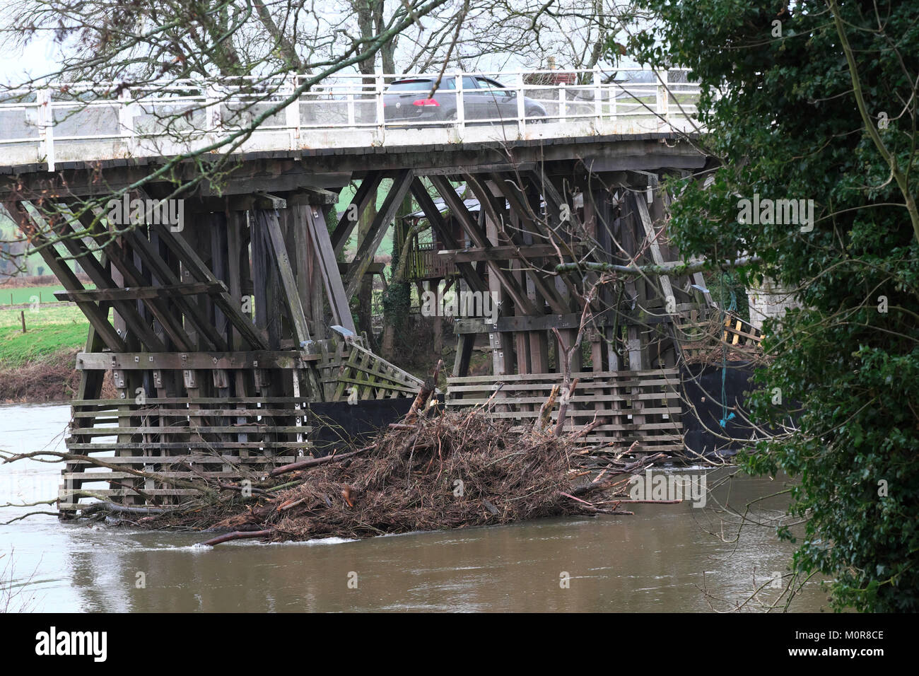 Whitney-on-Wye, Herefordshire, UK - Wednesday 24th January 2018 - Rain falls on the River Wye where river levels are high - large amounts of broken tree debris have already washed down from further upstream in Wales and are now piled up against the pillars of the old Toll Bridge at Whitney-on-Wye -  Photo Steven May / Alamy Live News Stock Photo