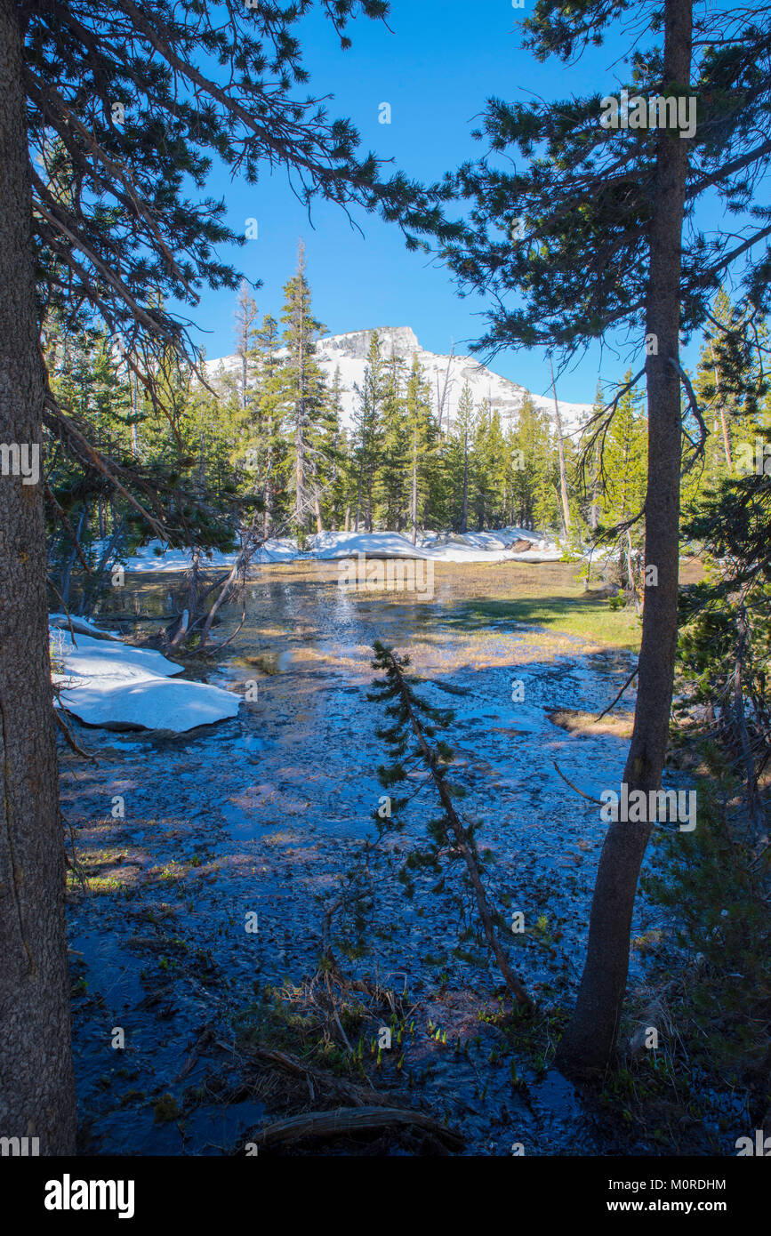 Tresidder peak hires stock photography and images Alamy