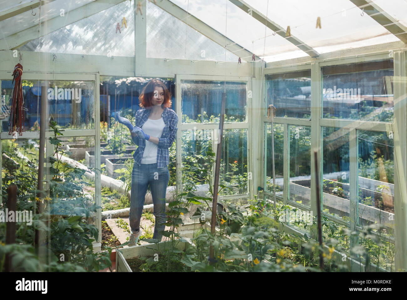 Smiling young woman standing in a greenhouse Stock Photo - Alamy