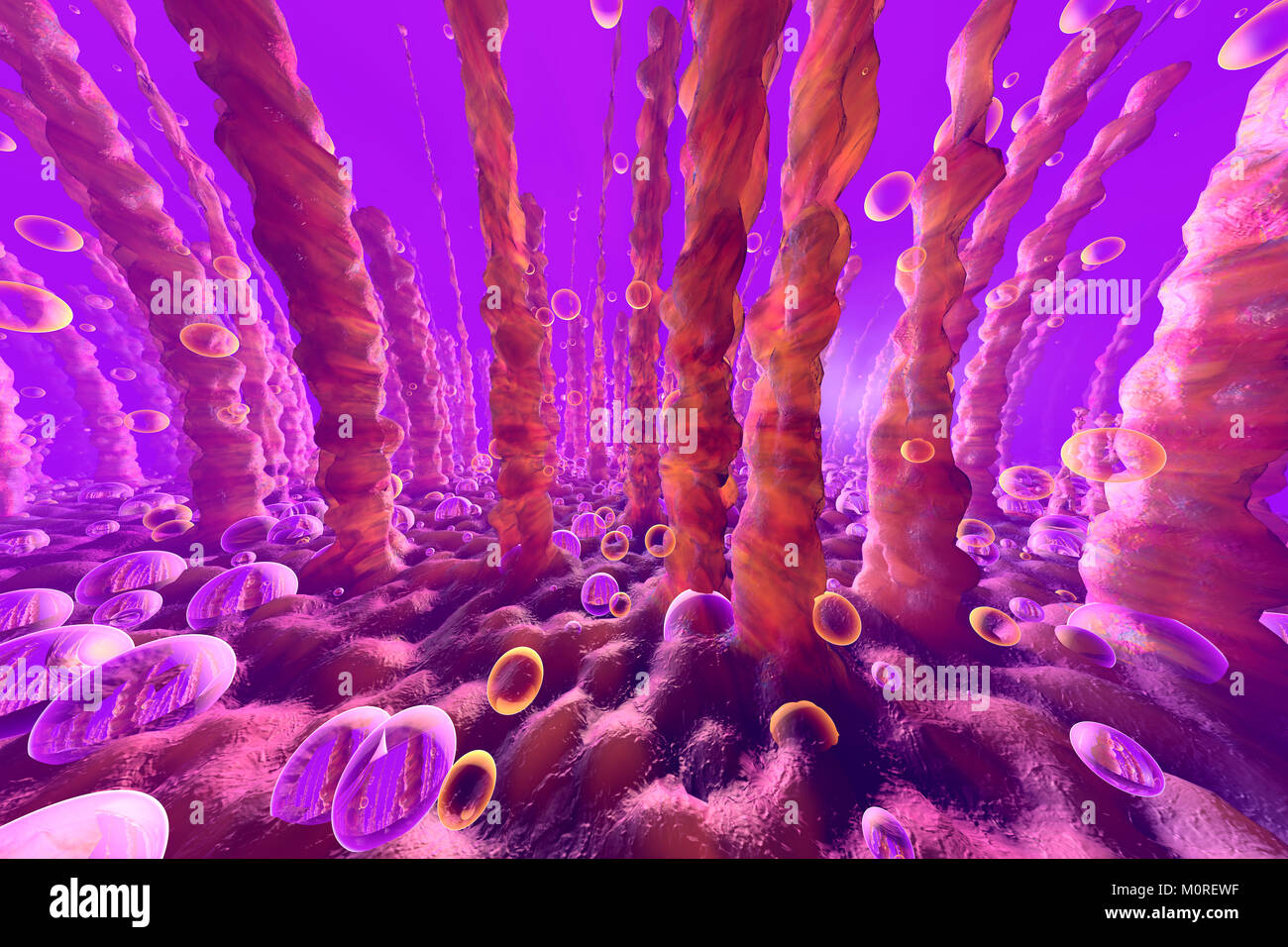 3D Illustration of lung or liver cells with oxygen bubbles floating within Stock Photo