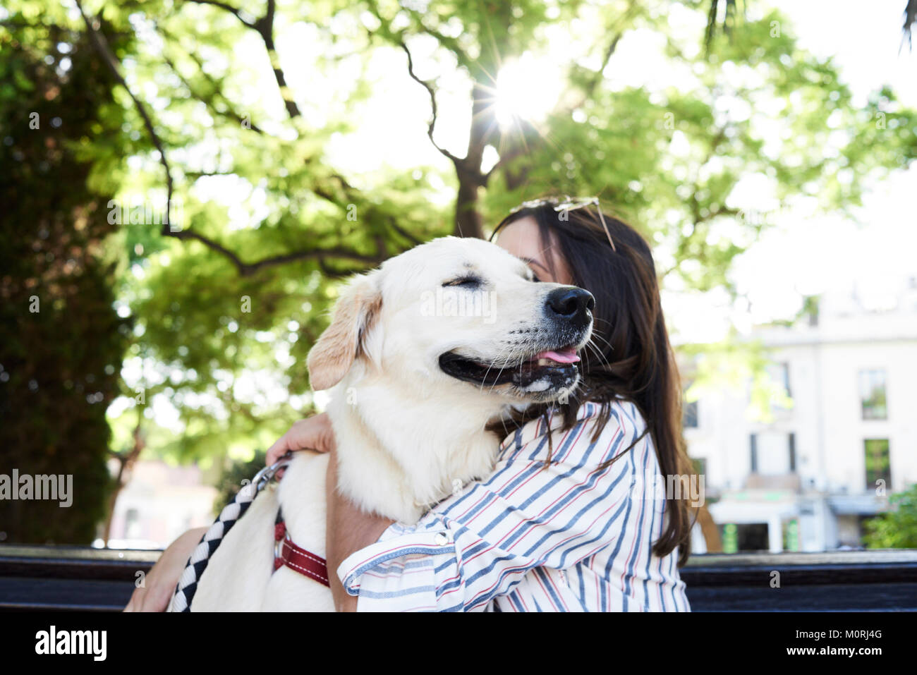 Tenderness hug between a Golden dog and his owner sitting on a bench against sunlight. Stock Photo