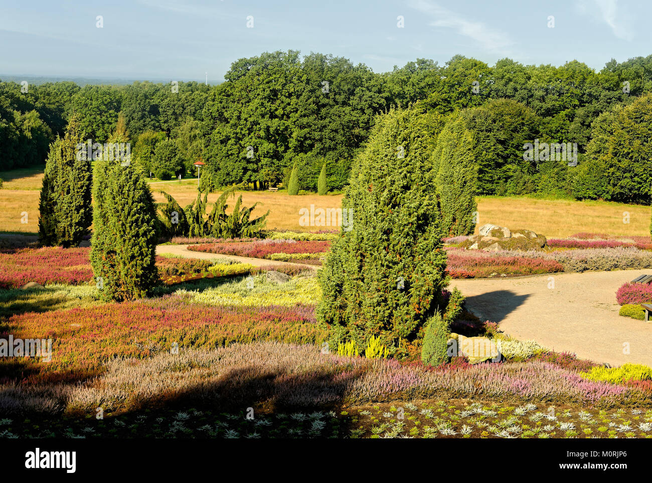 Heidegarten, Schneverdingen, Lüneburger Heide, Niedersachsen, Deutschland Stock Photo