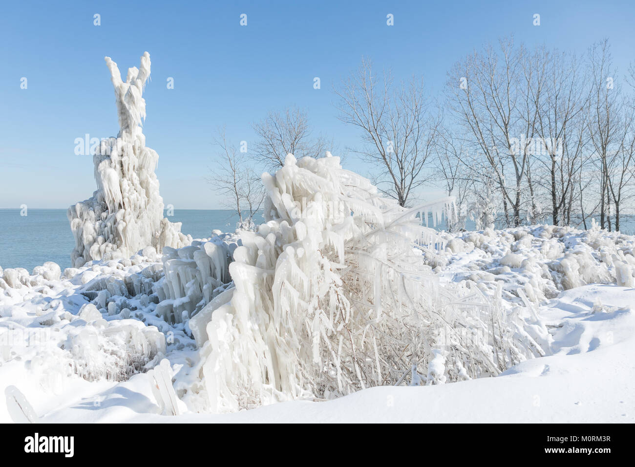 Frozen trees covered in ice by the lake Michigan in Chicago downtown Stock Photo