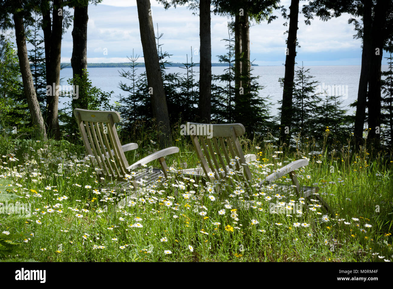 Adirondack Chairs in Meadow Overlooking Lake Michigan in Door County Wisconsin Stock Photo