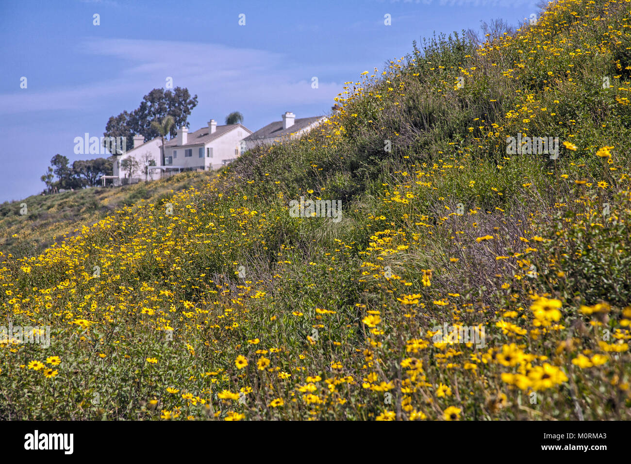 Home on the side of bluff over Ballona Wetlands near PLaya Vista, Los Angeles, California, USA Stock Photo