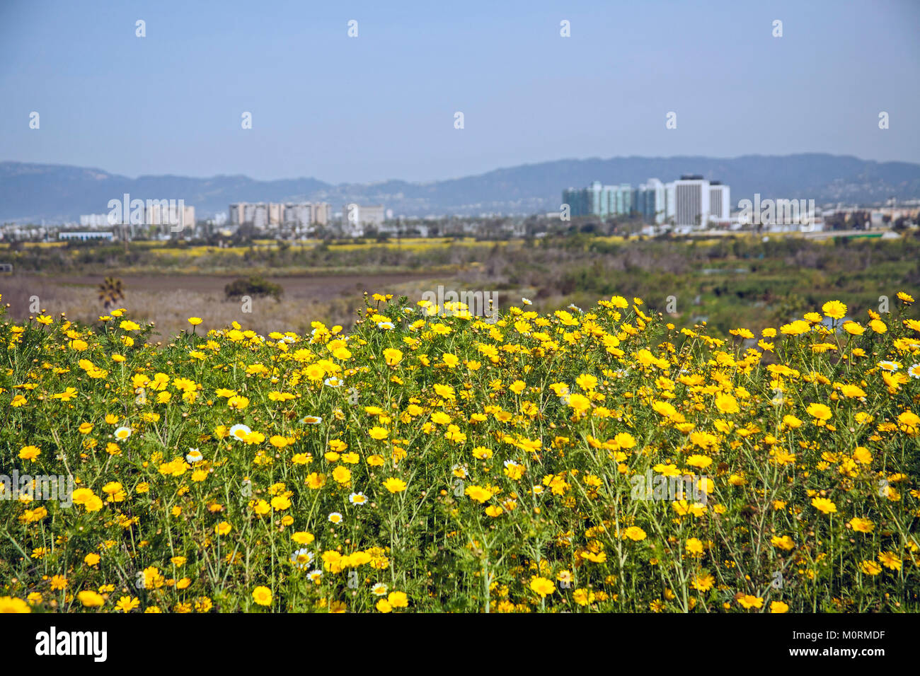 Ballona Wetlands and Playa Vista development, Los Angeles, California