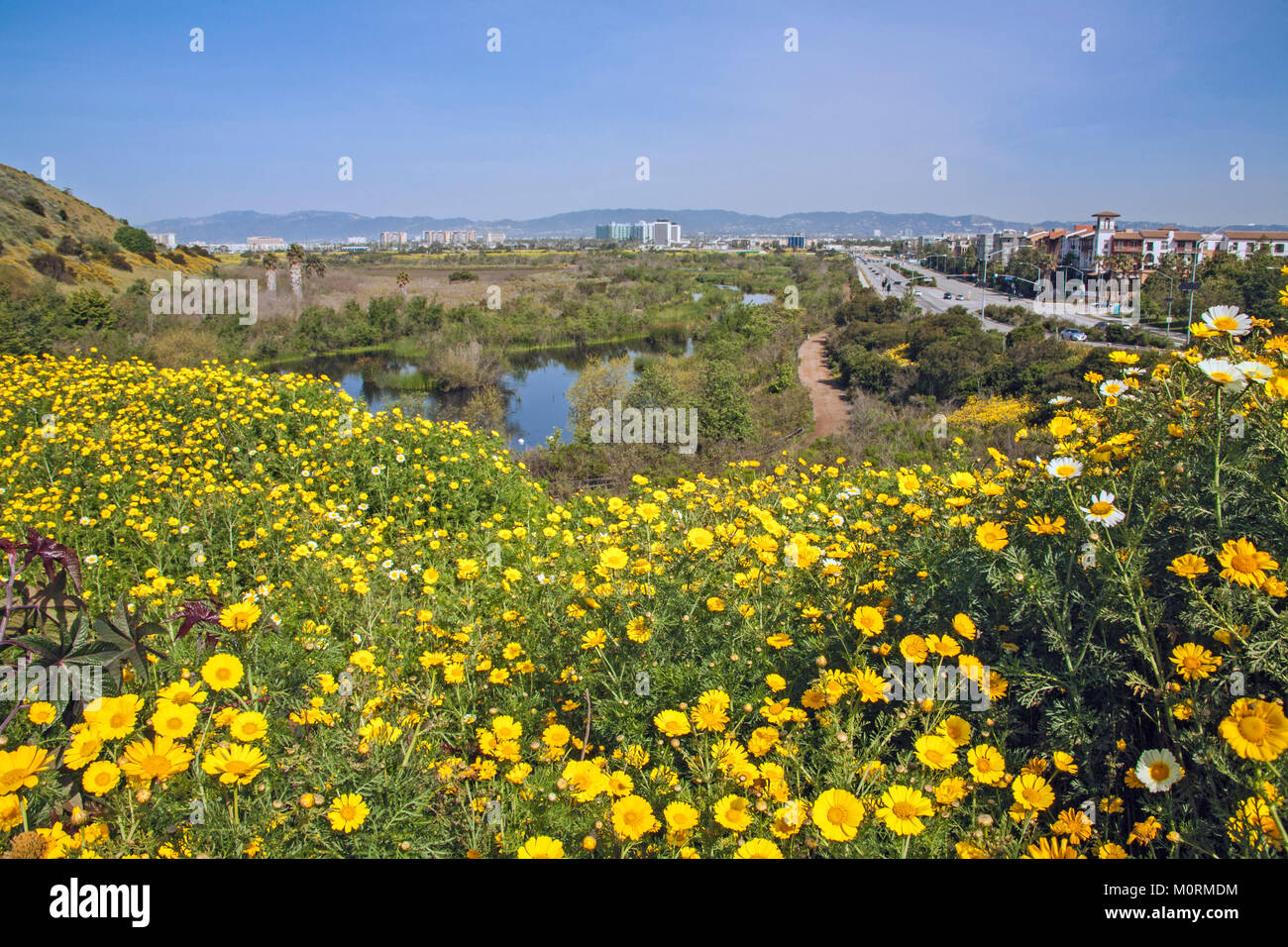 Ballona Wetlands and Playa Vista development, Los Angeles, California, USA Stock Photo