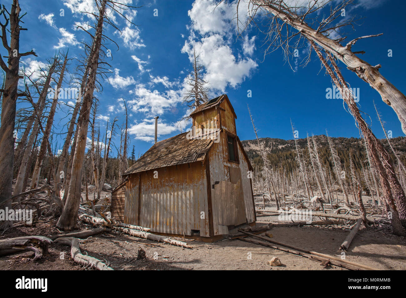 Mammoth mountain california dead tree hires stock photography and
