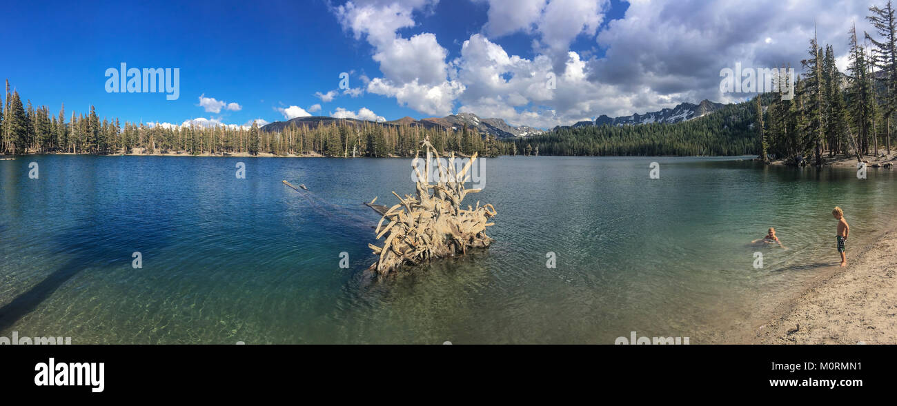 Dead trees around Horseshoe Lake. Higher than normal concentrations of