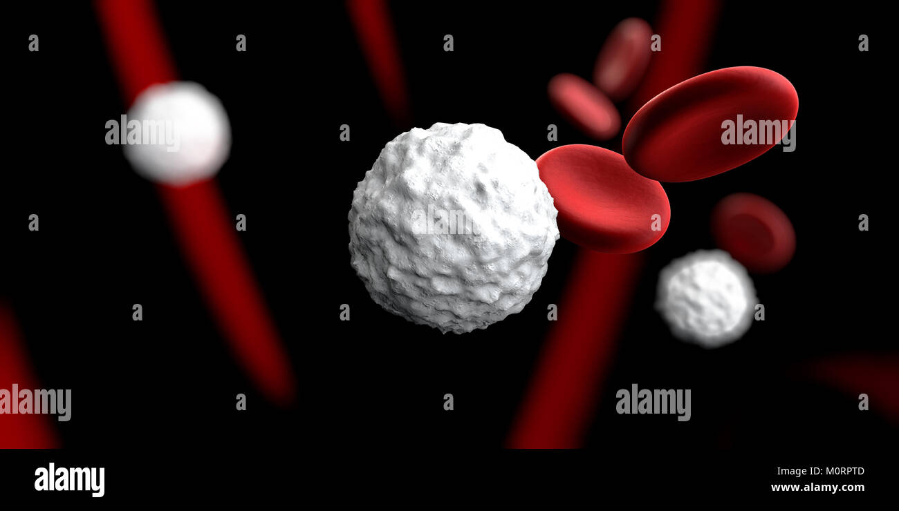 3d Illustration of White , red blood cells , Leukocytes , Infectious disease Stock Photo