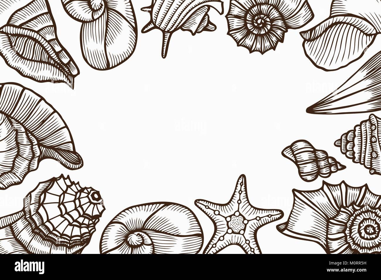 Vintage seafood frame vector illustration. Hand drawn Seashell with ink ...