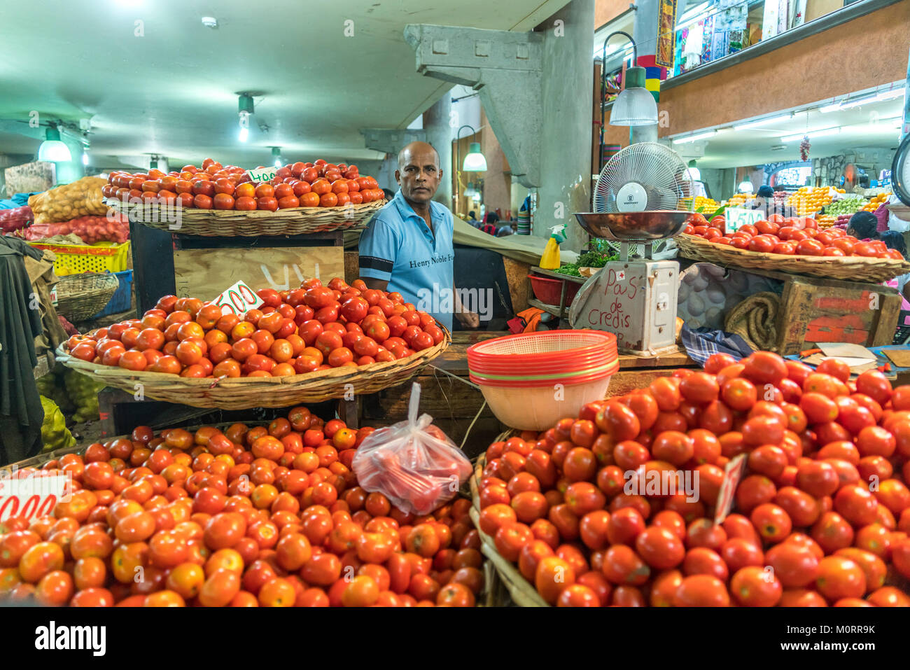Tomaten  auf dem Zentralmarkt in Port Louis, Mauritius, Afrika | tomatoes Central Market Port Louis, Mauritius, Africa Stock Photo