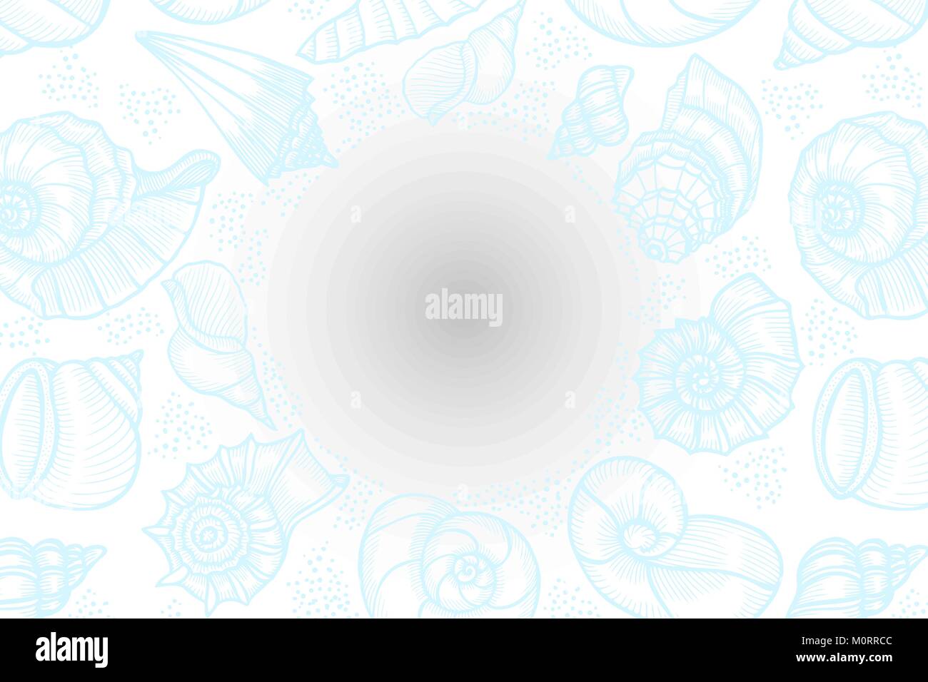 Seashells hand drawn vector etching sketch isolated on black background ...