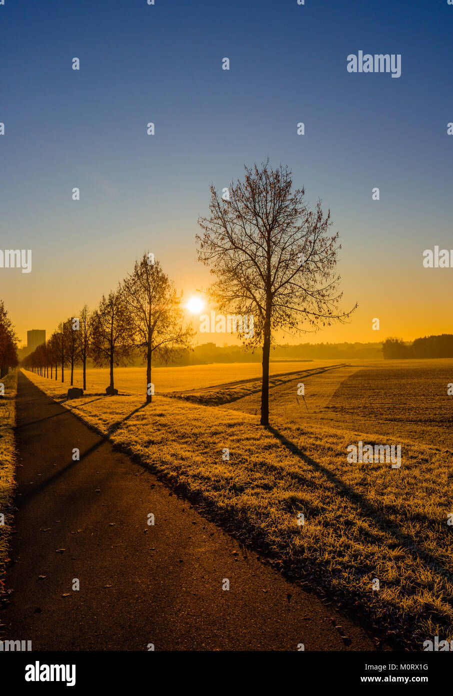 bright cycle path