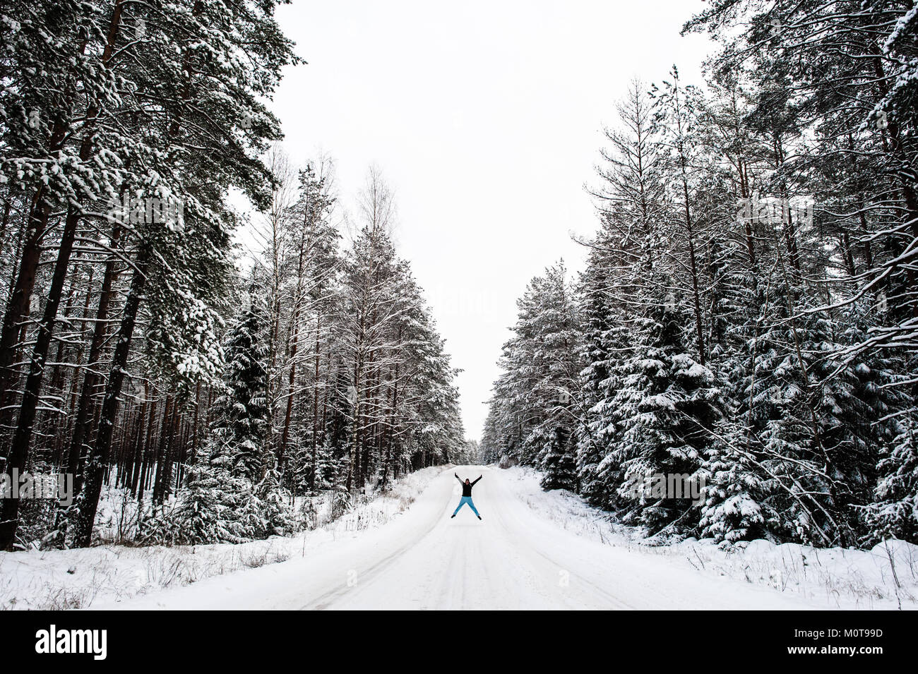 A woman doing winter star jumps on a freezing and snow covered road in Labanoro Regional Park, Lithuania. Stock Photo