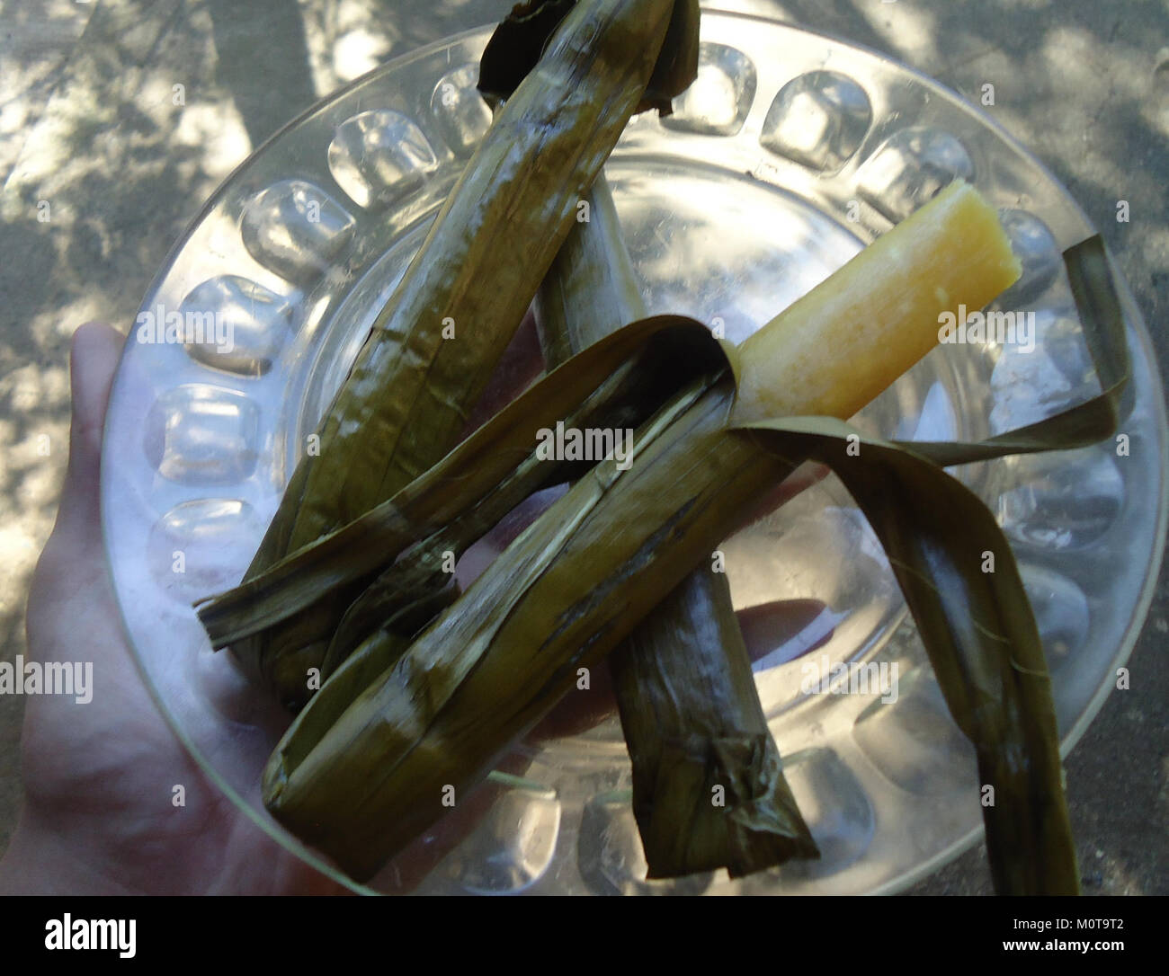 Cassava Suman Stock Photo