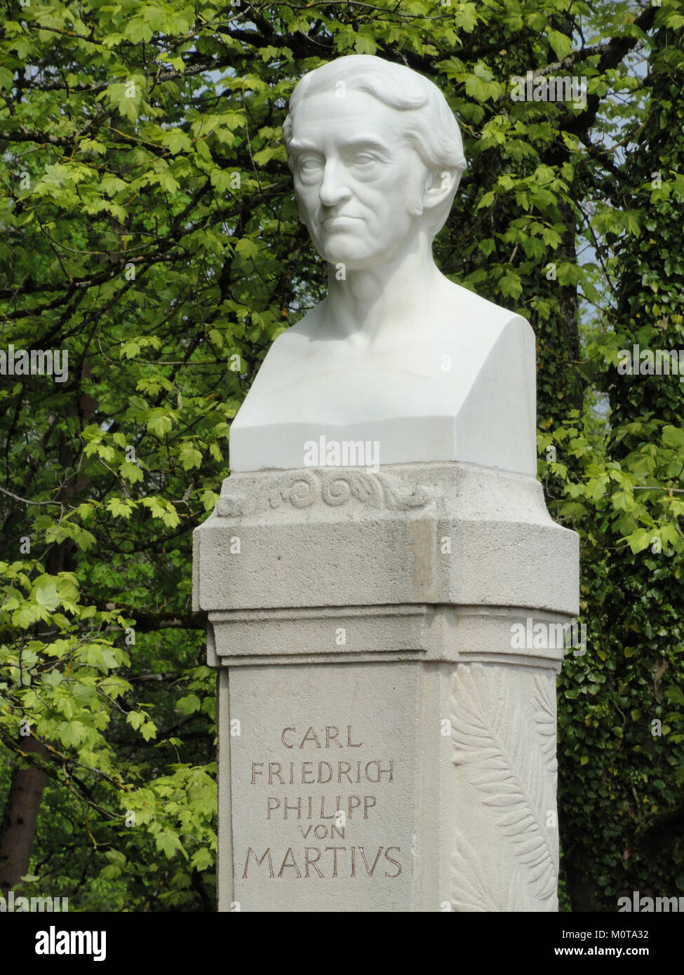 Carl Friedrich Philipp von Martius memorial - DSC07558 Stock Photo