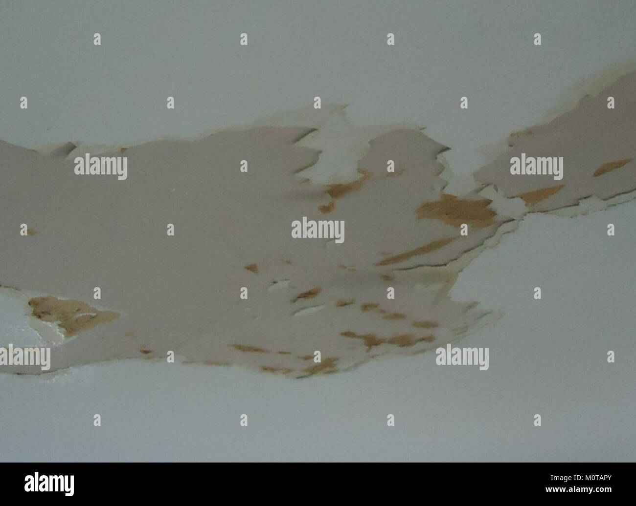 Ceiling sheetrock damaged by water so paint was peeling Stock Photo Alamy