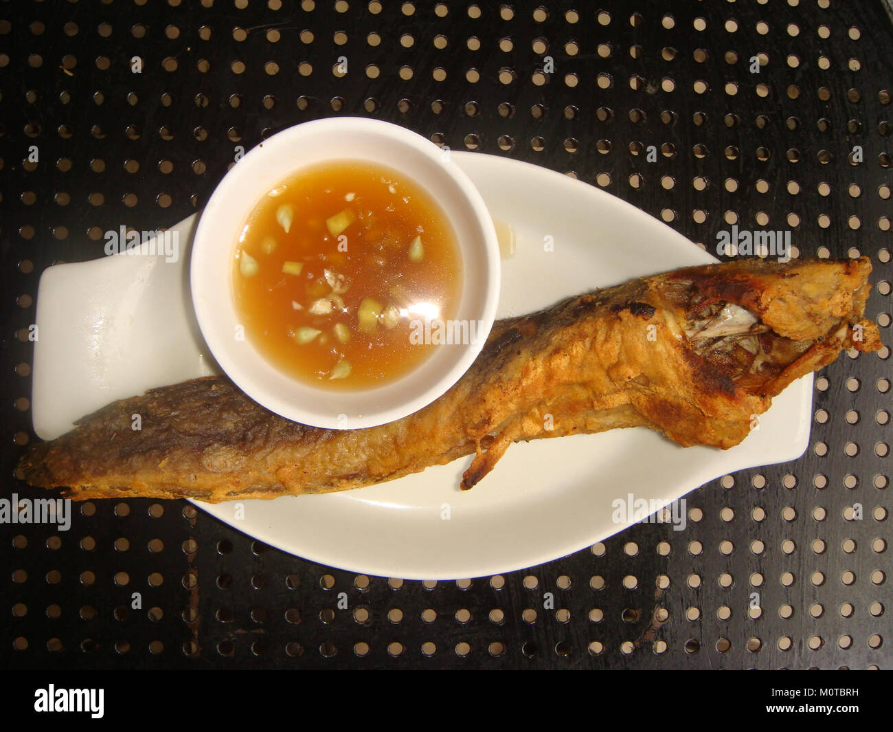 The catfish is a diverse group of freshwater fish, known for their ...