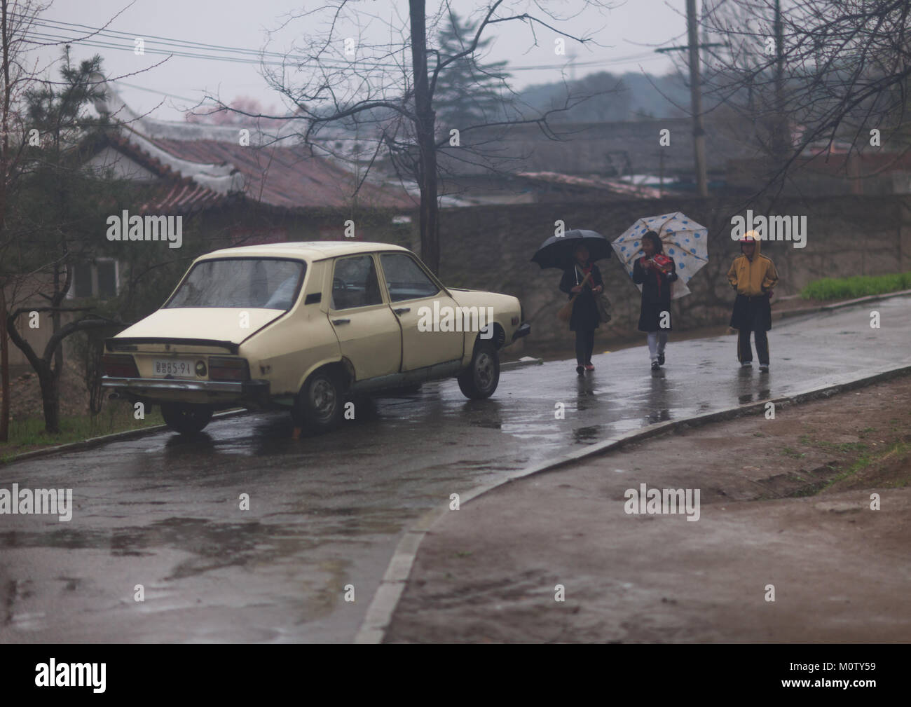 North Korean Girls With Umbrellas Walking Near A Car Under The