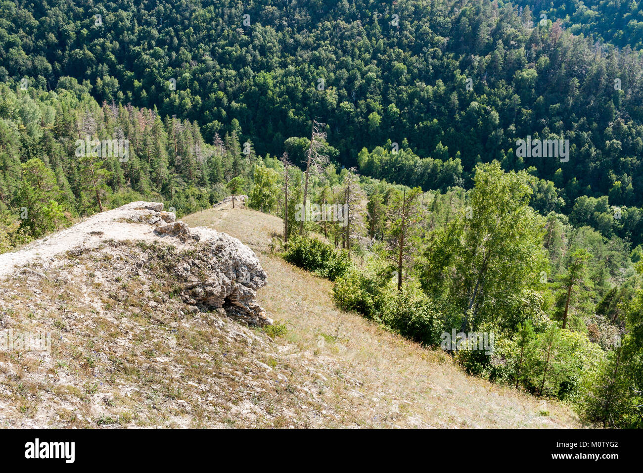 View from top of mountain to dense green forest at its foot. Stock Photo