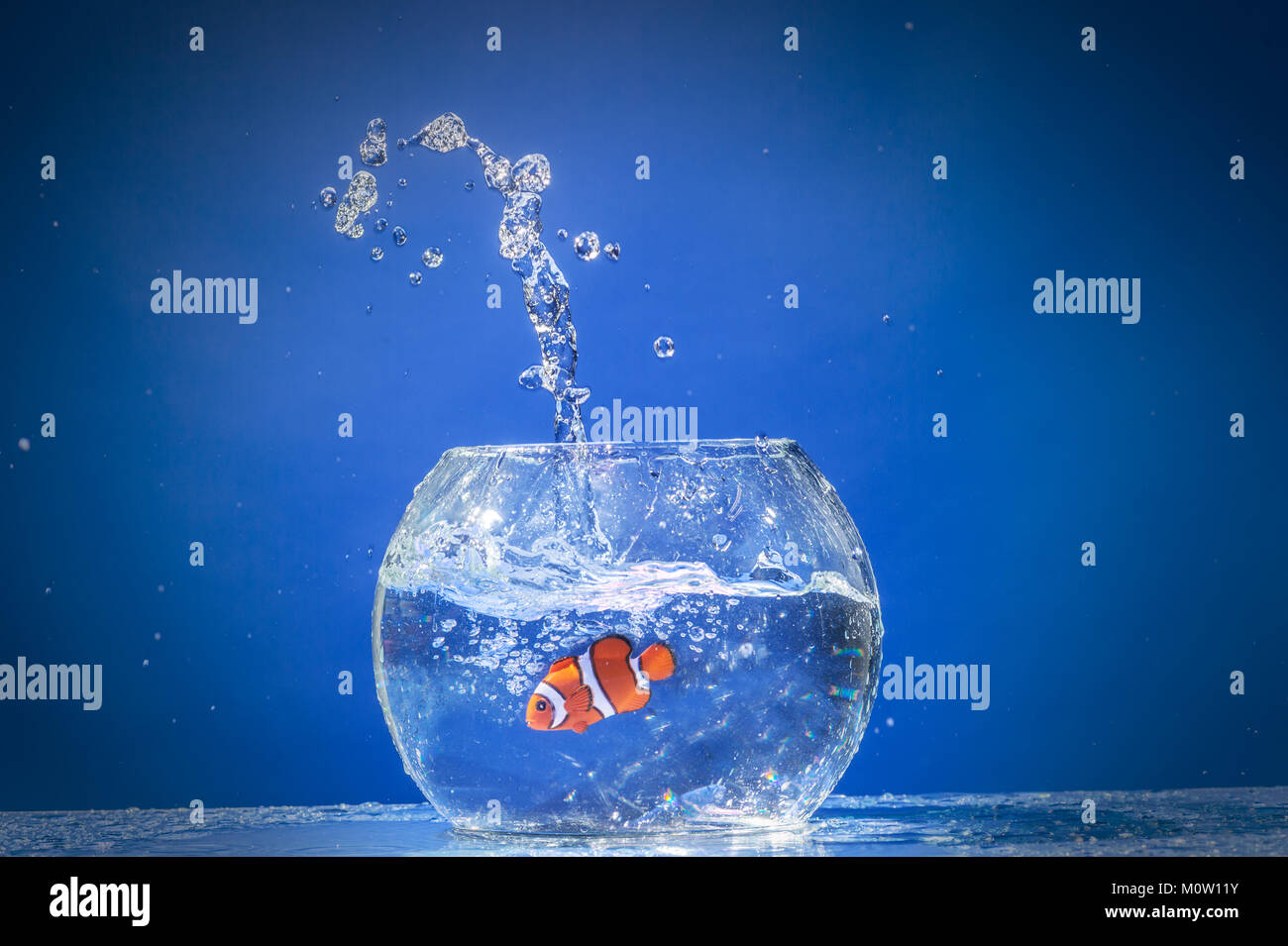 Goldfish Jumping High Resolution Stock Photography and Images Alamy