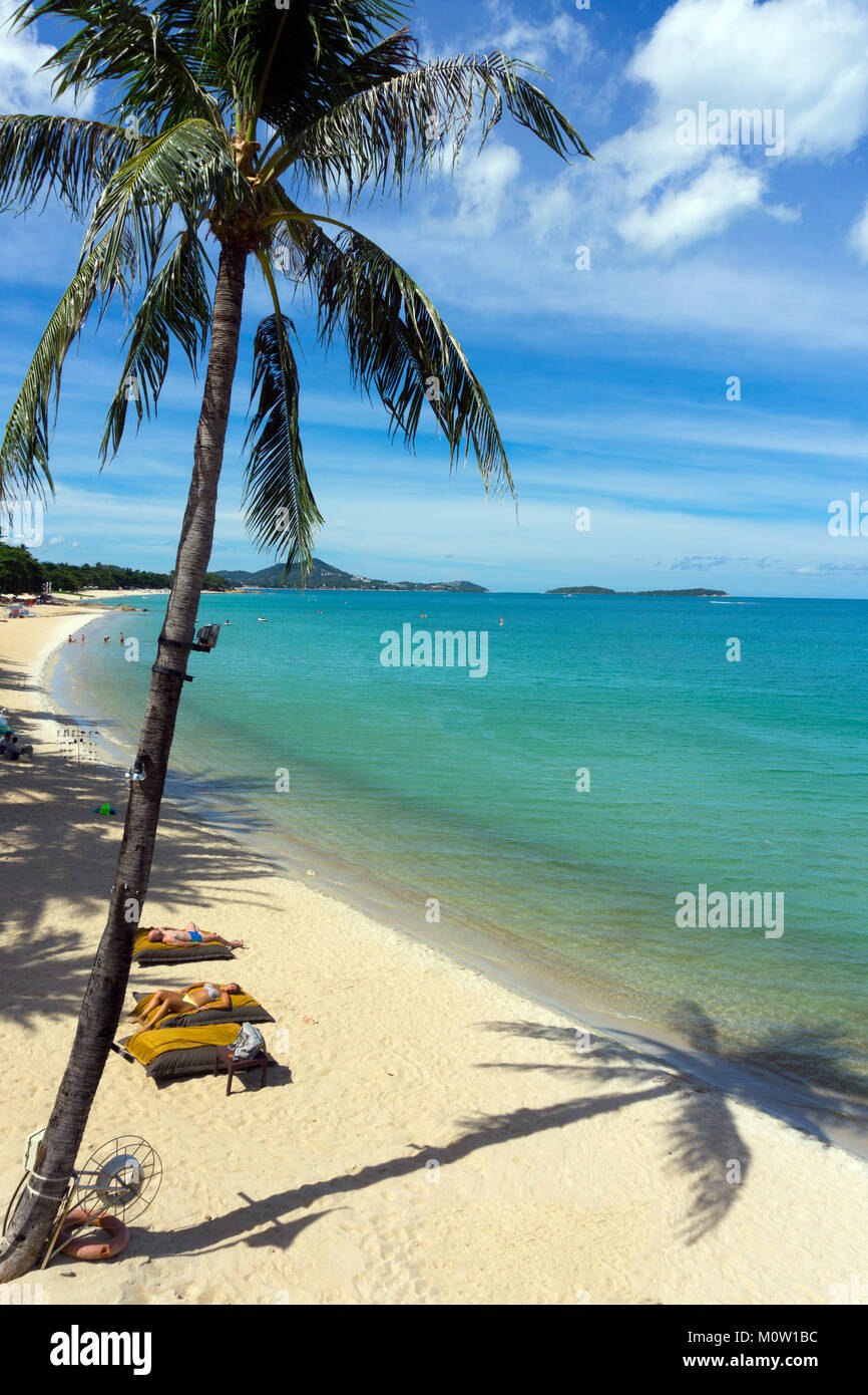 Asia,Thailand,Koh Samui island,Chaweng Noi beach Stock Photo Alamy