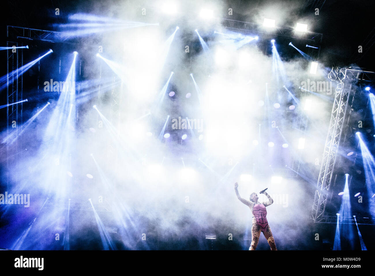 The Canadian singer, electronic musician and songwriter Peaches