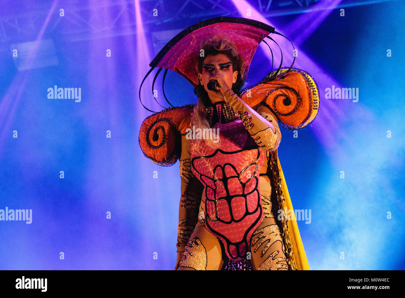 The Canadian singer, electronic musician and songwriter Peaches