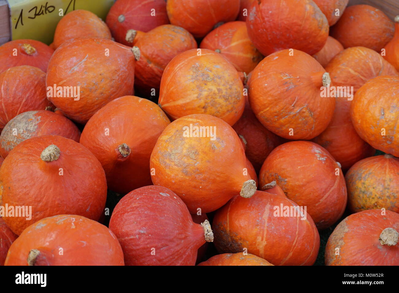 Freshly picked Hokkadio pumpkins for sale at a farmers market in Bonn, Germany. Stock Photo
