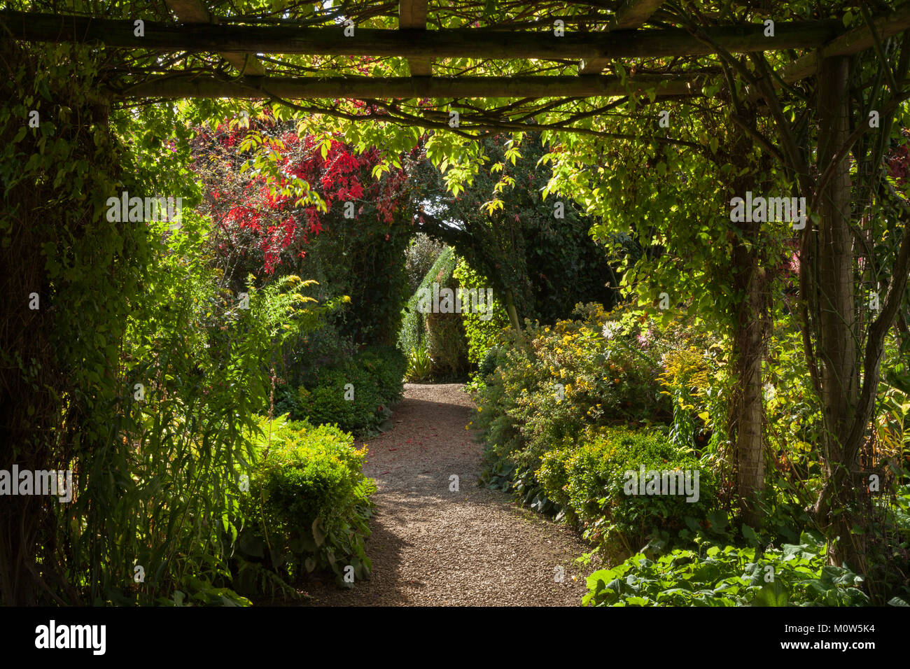 The shrub and herbaceous borders in late summer seen from beneath the wooden pergola within the walled garden of Rousham House, Oxfordshire, England. Stock Photo