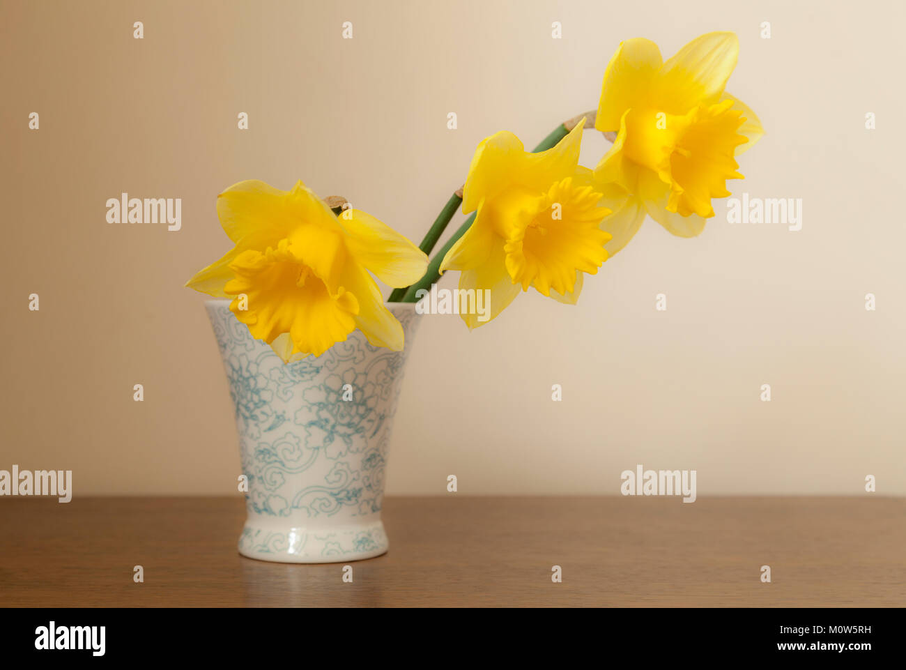 Three daffodil stems arranged in a small vase with blue floral design shot against a neutral background in natural light. Stock Photo