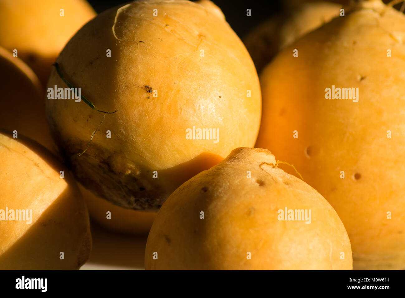 Download Yellow Turnip High Resolution Stock Photography And Images Alamy PSD Mockup Templates