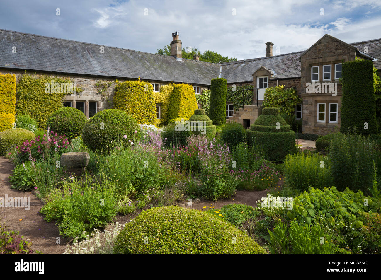 Colourful herbaceous plants grow among green topiary and yew hedging within the Flower Garden of Herterton House in Northumberland, England. Stock Photo