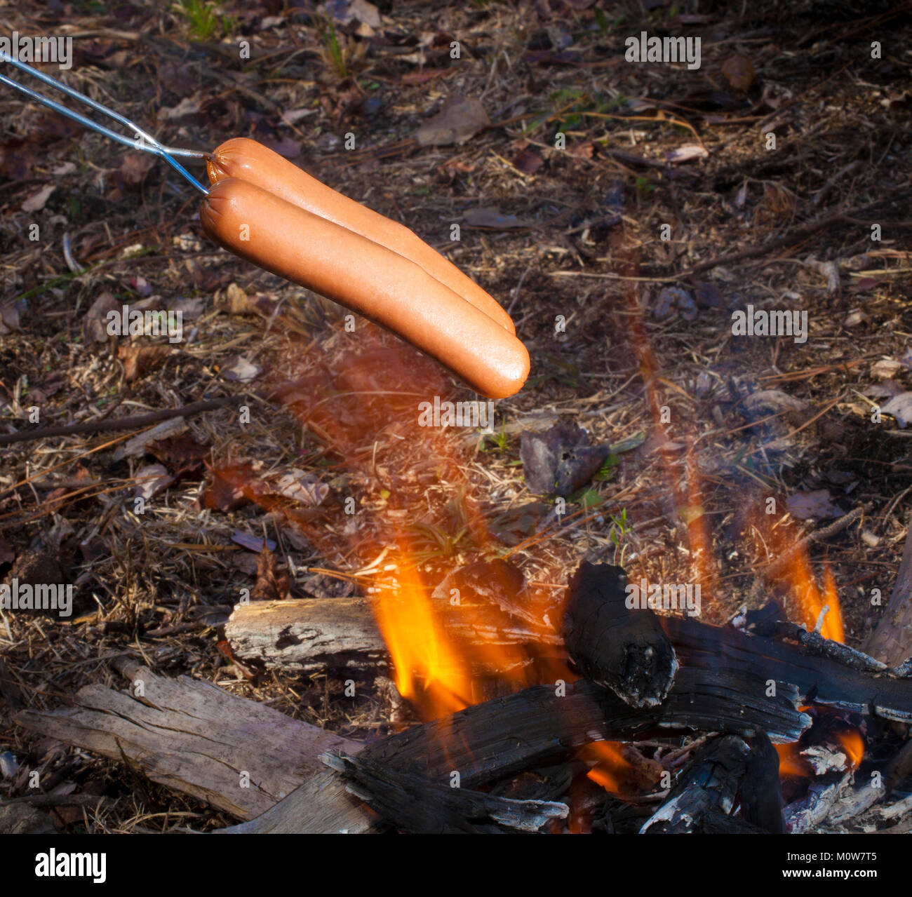 Two hot dogs on a skewer cooking over a small fire Stock Photo Alamy