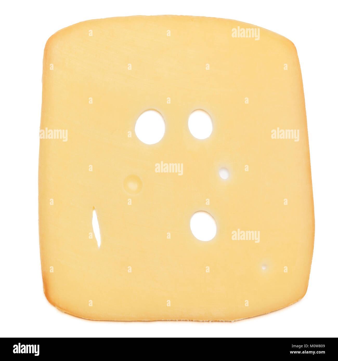 swiss cheese or cheddar on white background Stock Photo Alamy