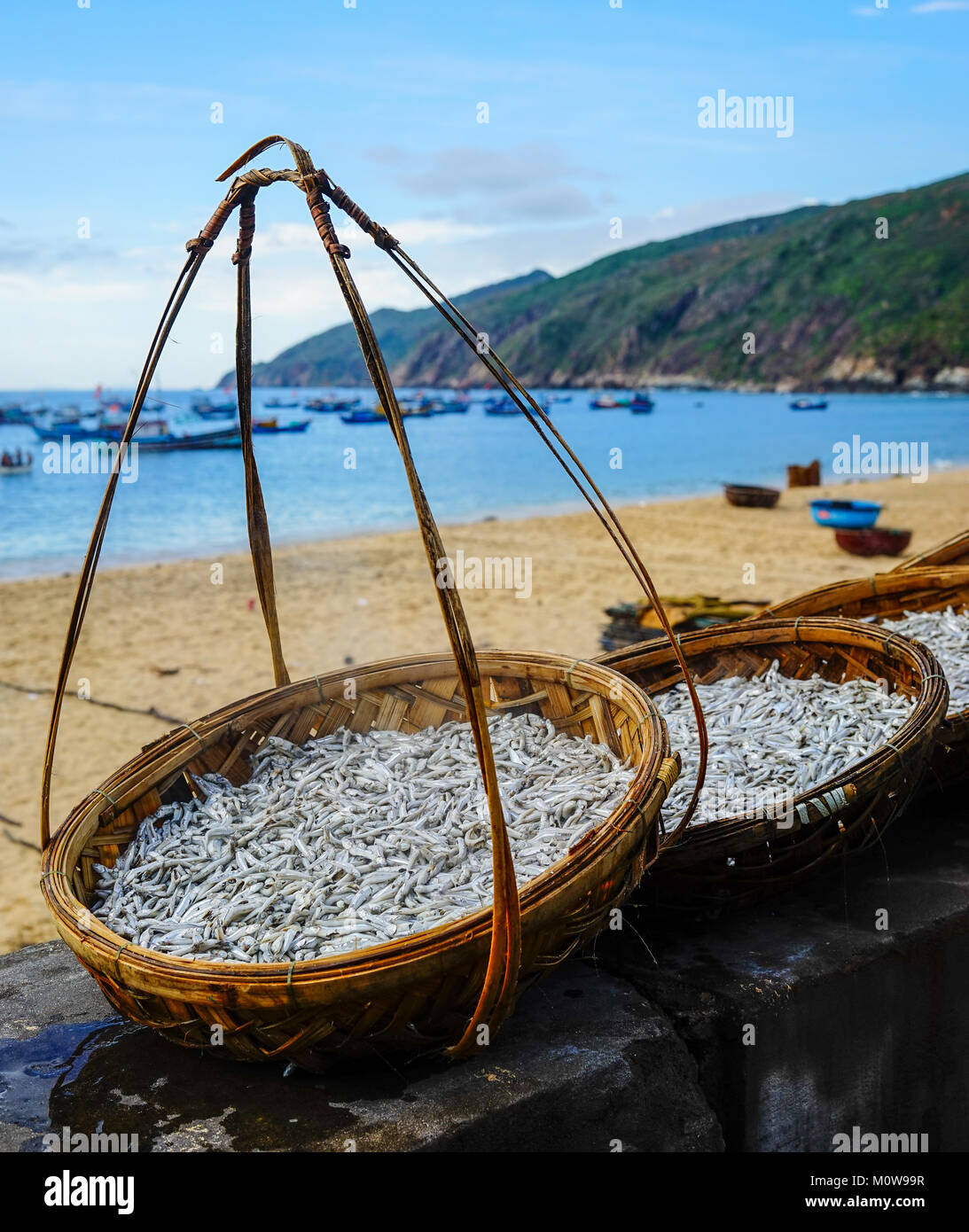 Bamboo baskets of fish on beach in Qui Nhon, South Coast of Vietnam. Stock Photo
