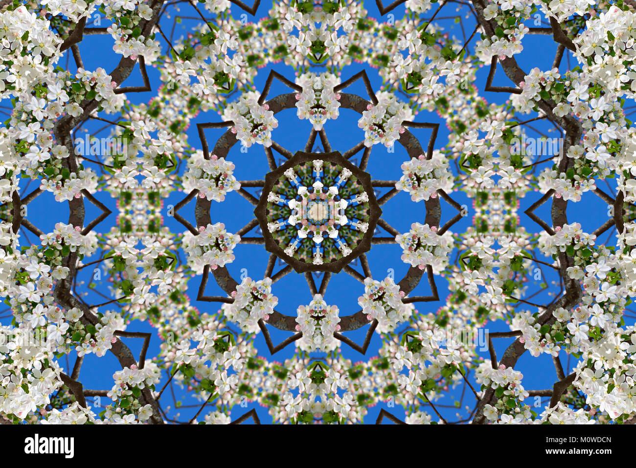 abstract background of floral pattern of a kaleidoscope. white blue green background fractal mandala. abstract kaleidoscopic arabesque. geometrical or Stock Photo