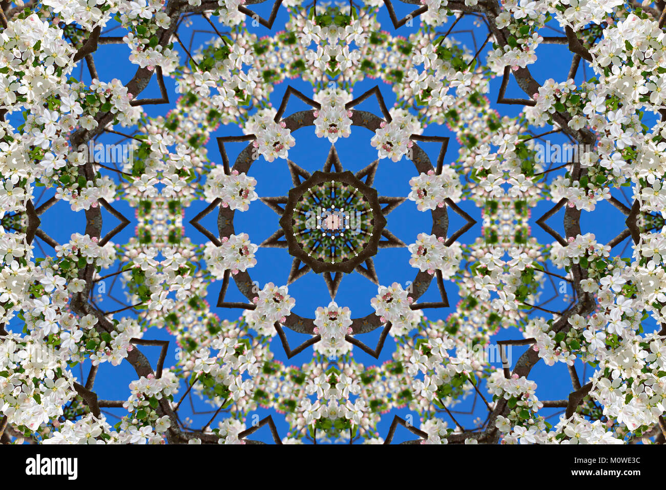 Kaleidoscope of natural color hi-res stock photography and images - Alamy