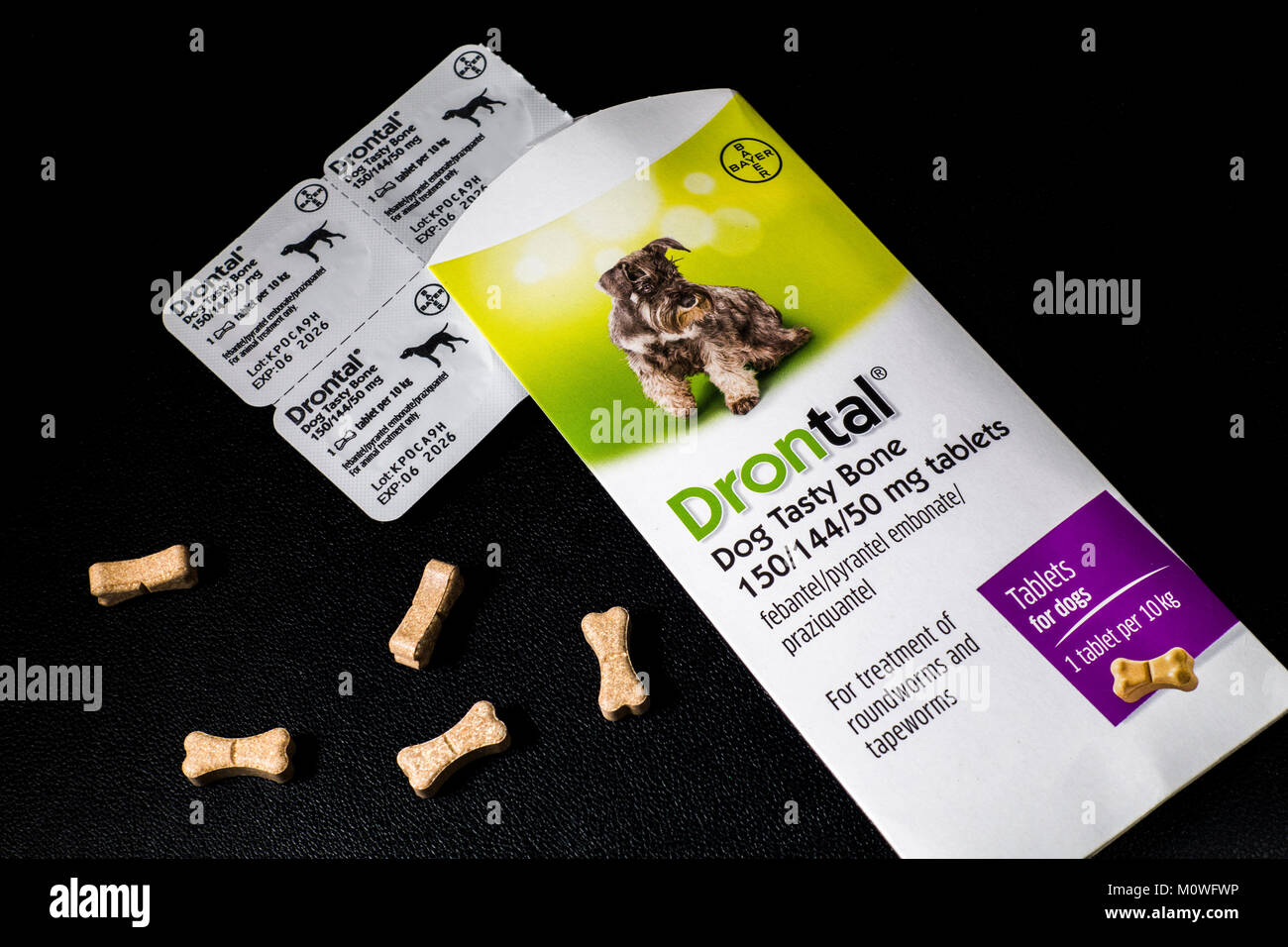 Drontal "Dog Tasty Bone" tablets by Bayer. To treat the most common types of worms in dogs, including roundworms, tapeworms, hookworms and whipworms. Stock Photo