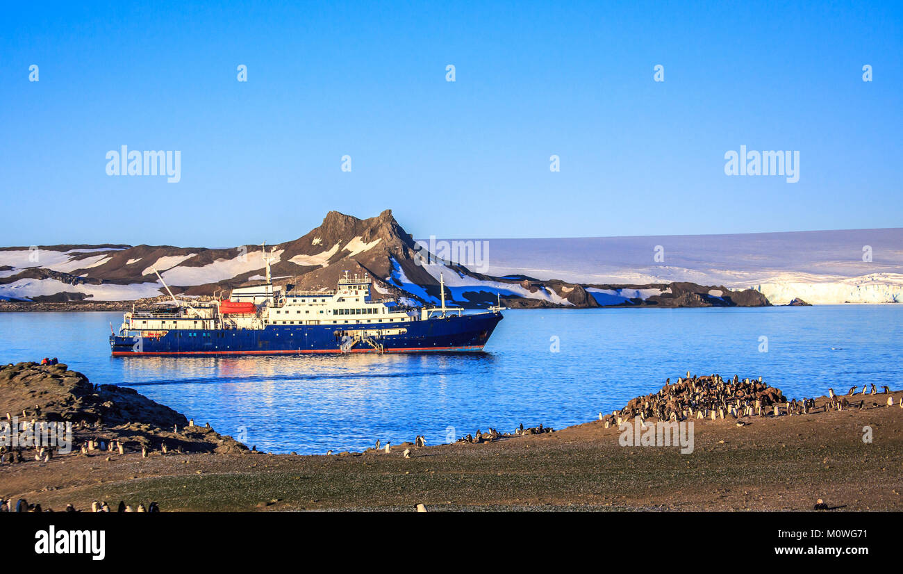 Blue antarctic cruise ship in the lagoon and Gentoo penguins colony on the shore of Barrientos island, South Shetland islands, Antarctic peninsula Stock Photo