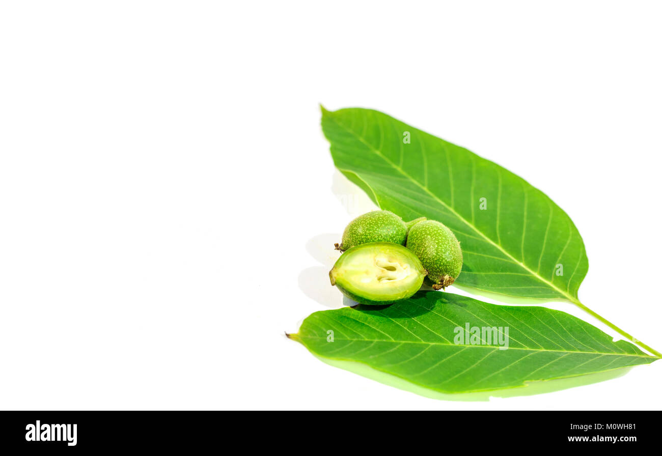 Seven green young walnuts in husks with walnuts leavs on white