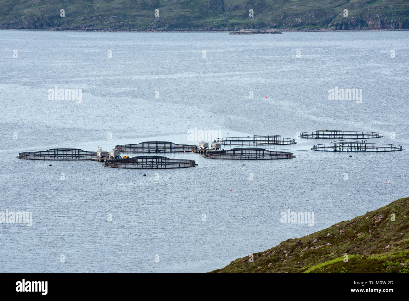 Circular fishing net hi-res stock photography and images - Alamy