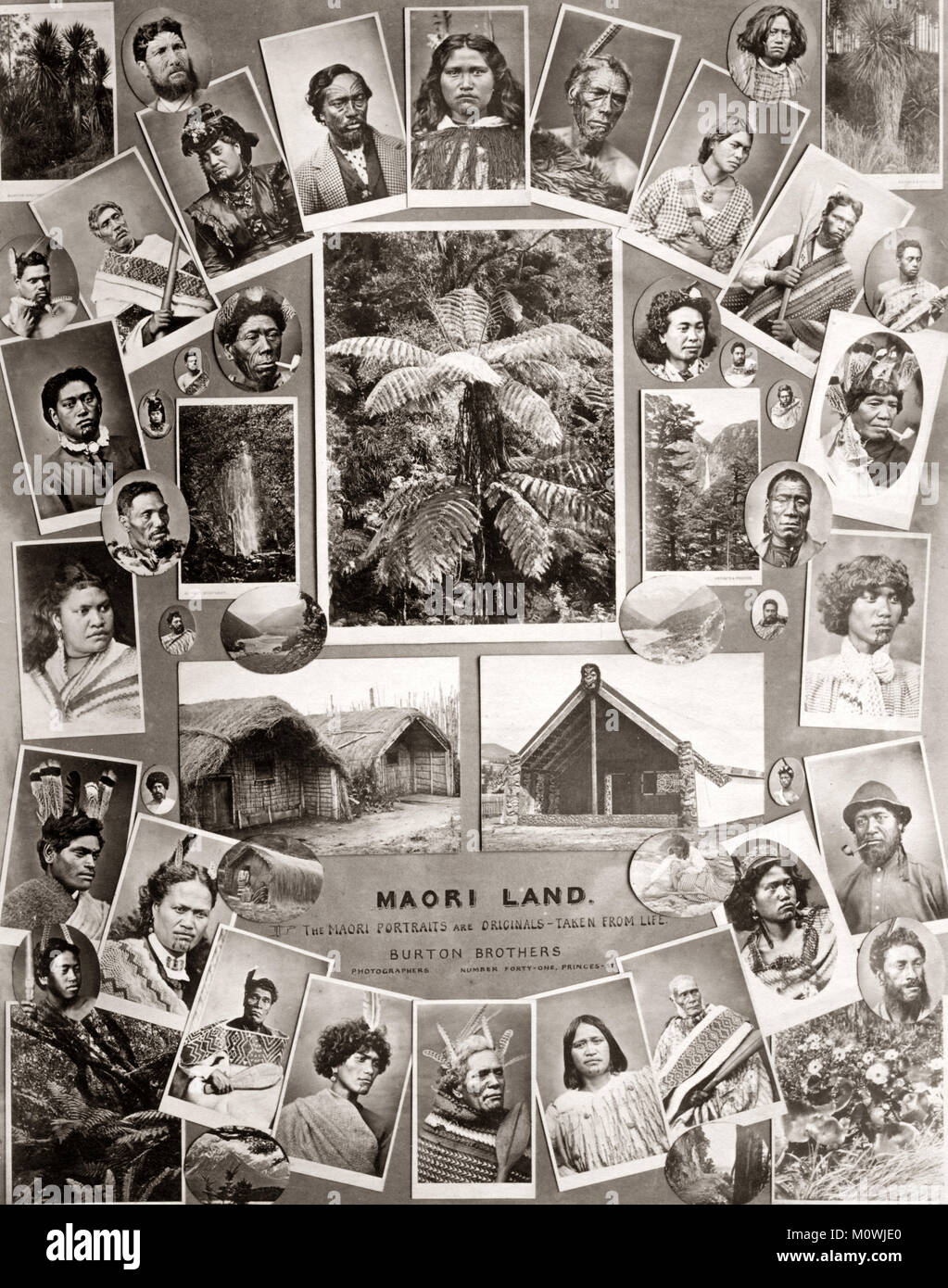 Composite of Maori images by Burton Bros photographers in Dunedin New Zealand c. 1890 Stock Photo