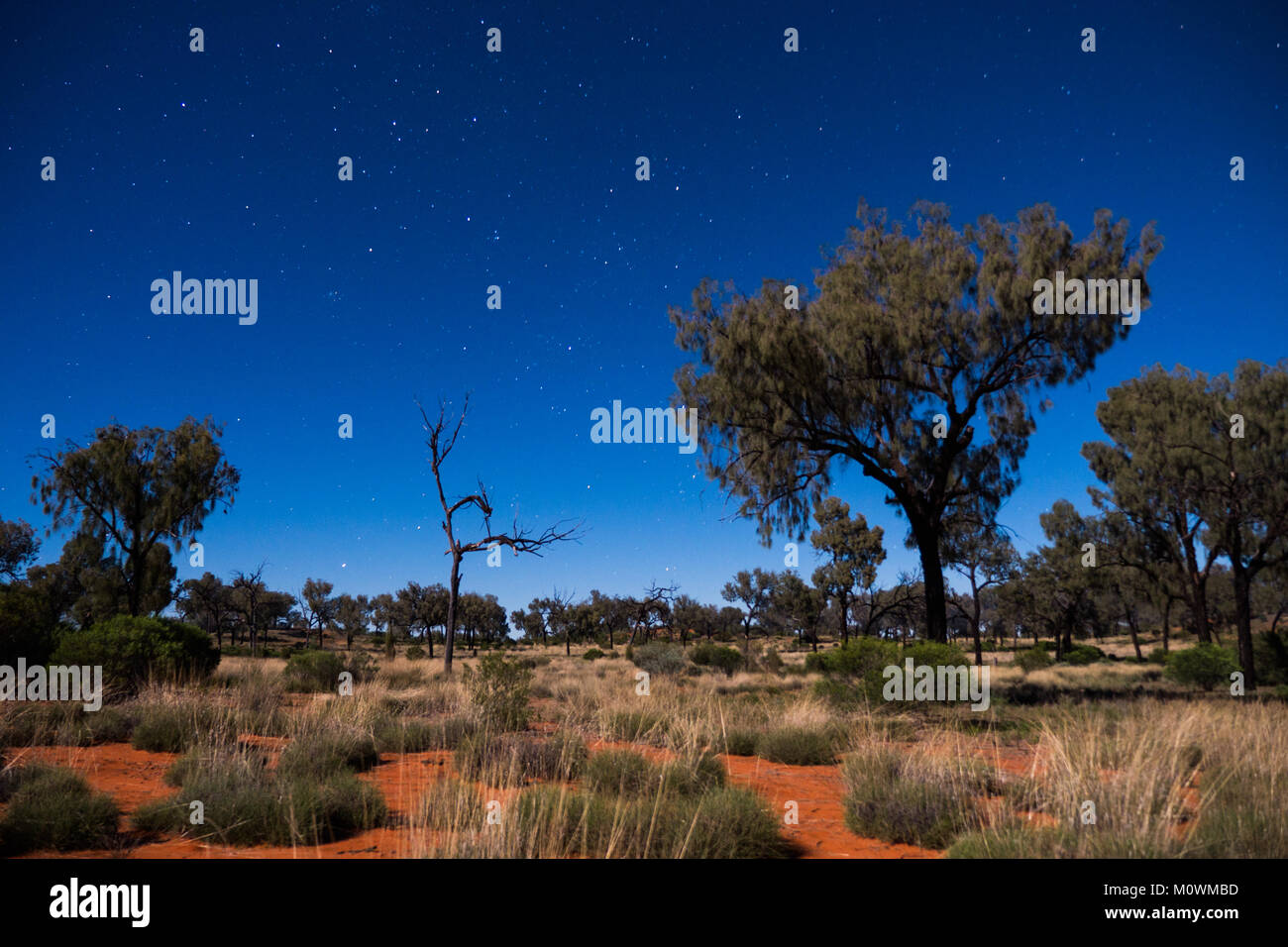 Northern Territory desert night sky Stock Photo