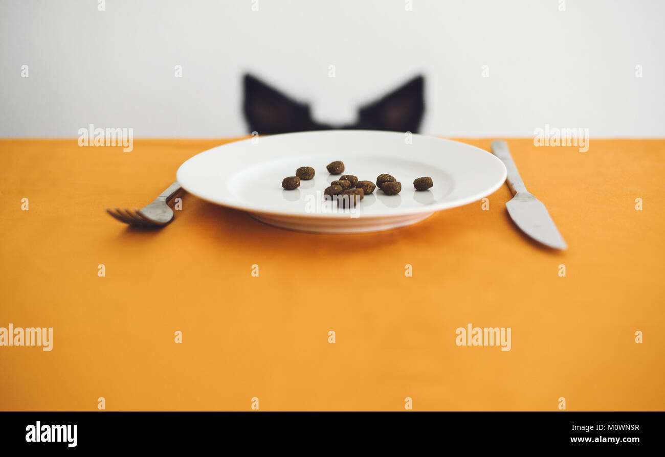 Dog Ears behind the Table. On the Table Is a Plate with Dog Food (Dry Granule). Stock Photo