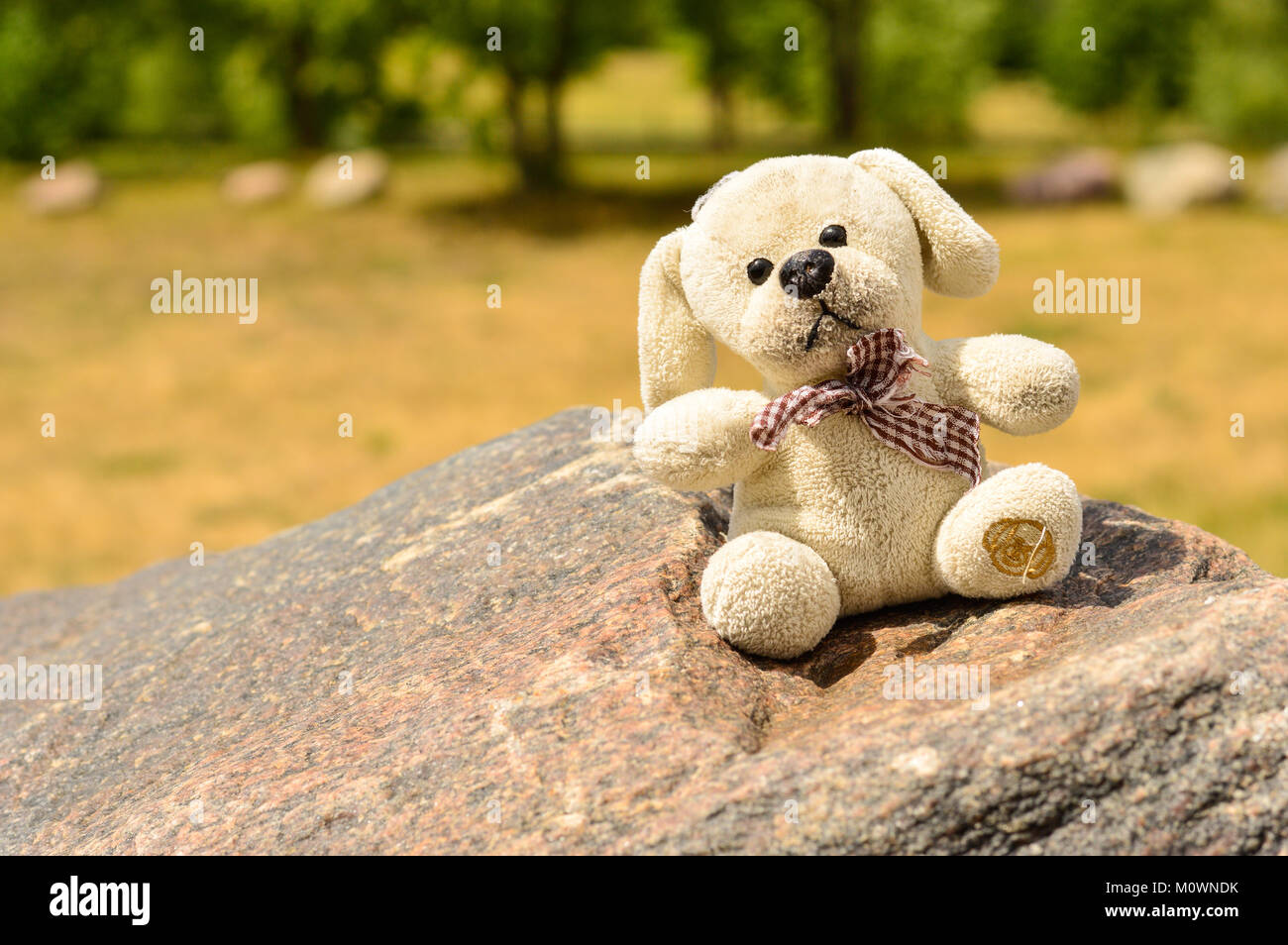 A dirty plush toy sitting on a stone Stock Photo