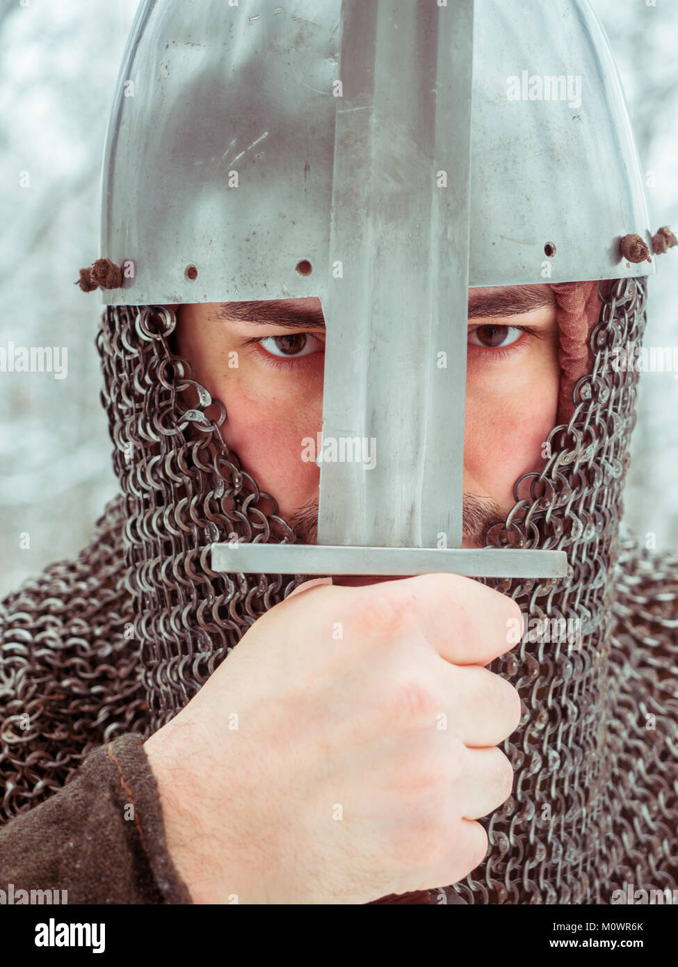 Portrait of Vikings Standing with Swords and Helmets in the Hands. Stock  Photo - Image of reenactment, reconstruction: 110953714